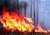 Україна запропонувала Португалії допомогу в ліквідації лісових пожеж