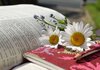 У Києві відбулася презентація англомовного видання книжки Станіслава Асєєва